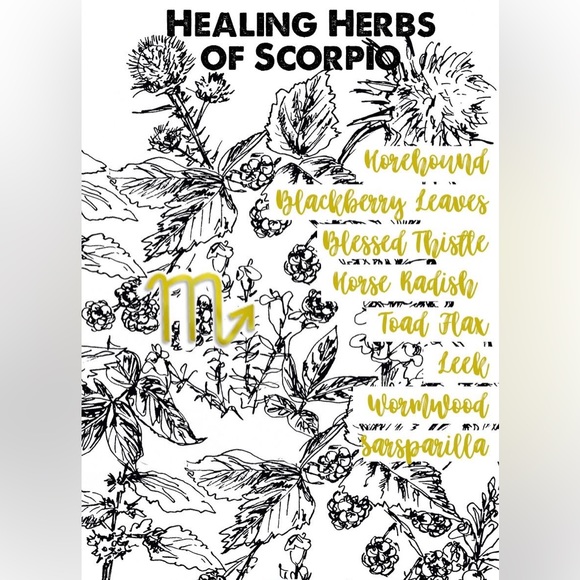 2/$6 ๐งช SCORPIO Astrology Horoscope Necklace w/ Info Card - Picture 15 of 16